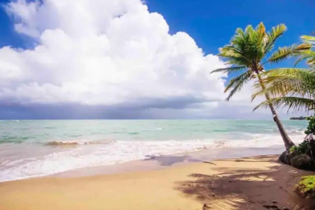 דירות Loiza Fall In Love To Endless Summer. Charm And Private מראה חיצוני תמונה